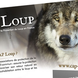 CAP Loup