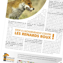 Collectif Renard Grand Est